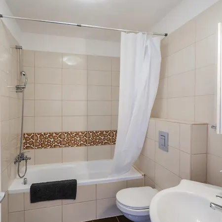 Ah-corso Wellness *